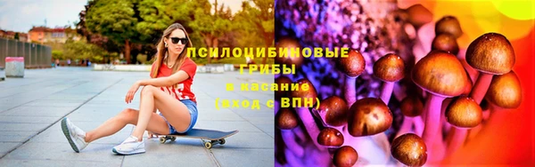 дмт Осташков