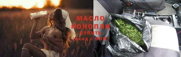 дмт Осташков