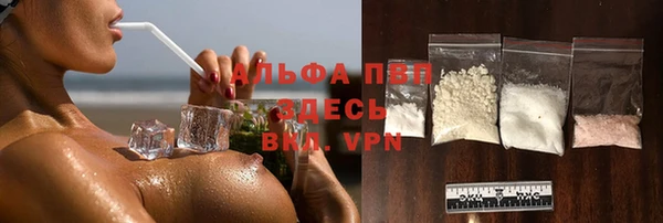 дмт Осташков