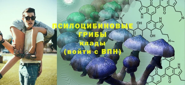дмт Осташков