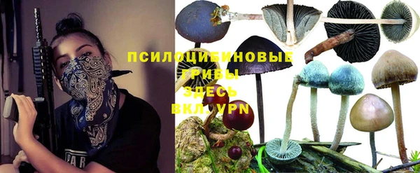 дмт Осташков