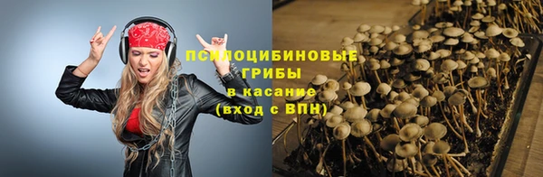 дмт Осташков